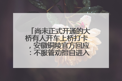 尚未正式开通的大桥有人开车上桥打卡，安徽铜陵官方回应：不服管劝擅自进入，已采取措施
